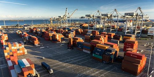 全球貿(mào)易受阻中的破冰之舉 阿里巴巴國際站“春雷計(jì)劃”與線上展會引領(lǐng)新航向